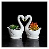 Photo Gallery xuejuanshop vasi da fiori set di 2 cigno fioriera in ceramica bianca for succulente decorativo desktop succulente pentole piccolo fiore vaso casa decorazione giardino giardino vaso piante interni Photo Gallery xuejuanshop vasi da fiori set di 2 cigno fioriera in ceramica bianca for succulente decorativo desktop succulente pentole piccolo fiore vaso casa decorazione giardino giardino vaso piante interni