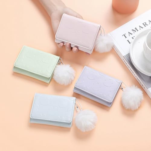 Ladies Wallet for Daily Errands and Social Events - Delicate Design, Trendy Aesthetic, Classic Look2