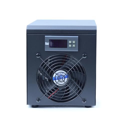 View 5