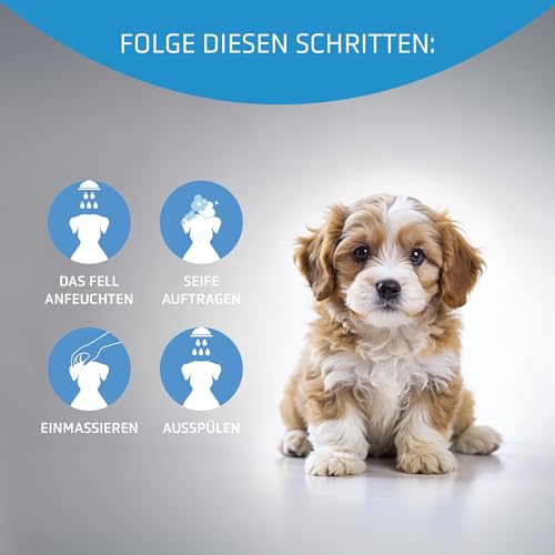 Artero Baby Shampoo 300 ml – Sanftes Welpen‑Shampoo für Hunde und Katzen, Sehr mild, Für empfindliche Haut, Pflegt, nährt und verleiht Glanz