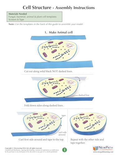 Image of NewPath Cell Structure 3-D Model Making Kit, Set /5 Full-Color, Paper Model Templates & Teachers Guide (24-7739)