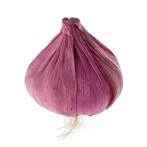 Yunso Künstlicher Knoblauch - Künstliche Gemüse, Künstliche Knoblauch Kostüm Zubehör, Party Home Kitchen Decor Kinder Requisiten Spielzeug