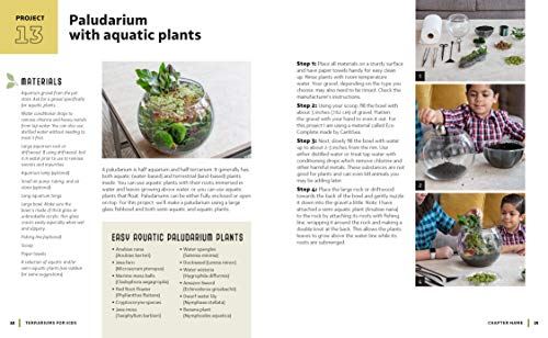 A Family Guide to Terrariums for Kids: Imagination-Inspiring Projects to Grow a World in Glass - Bui