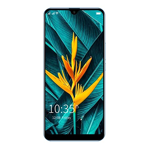 9 Pro Smartphone 6,1" FHD, 3GB RAM, 32GB Dual SIM - Ljusblå
