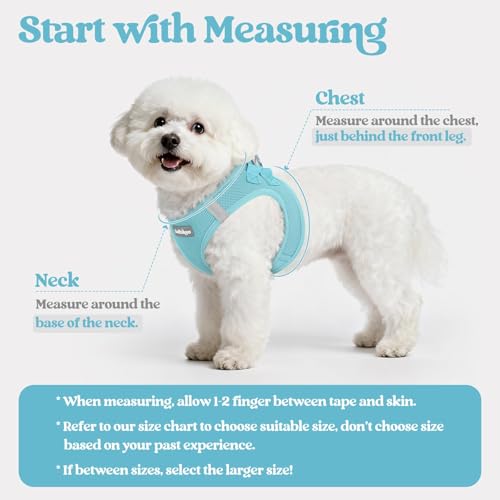 Image of rabbitgoo Dog Harness Small Sized and Leash Set, Step-in Puppy Pet Vest