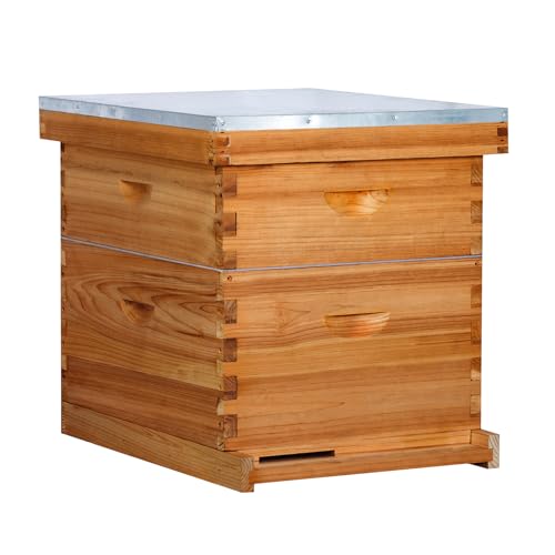 Honey Lake Bienenstock-Set mit 10 Rahmen, 1 Brutstock-Box und 1 mittelgroße Bienenstock-Superbox, Bienenstöcke und Zubehör, inklusive Bienenstockrahmen und Fundamentblatt