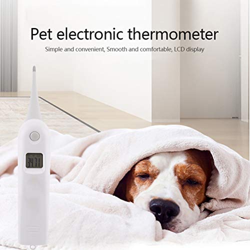 AUNMAS Haustier-Thermometer, Elektronisches Tierthermometer Tierarzt-Thermometer Zur Genauen Fiebererkennung für Katzen/Hunde