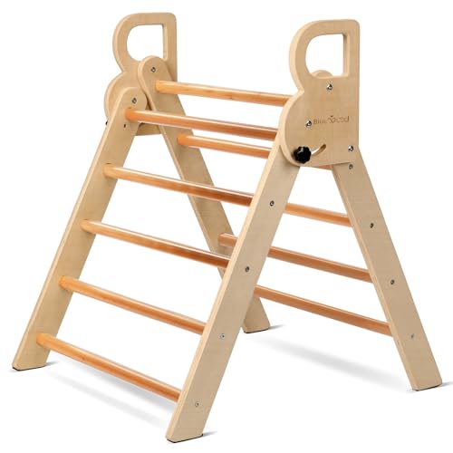 The 15 Best Indoor Climbing Frames for Children Guidebook
