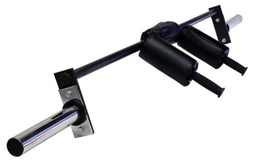 Ader Sporting Goods Safety Squat Bar 82 for Compact Space