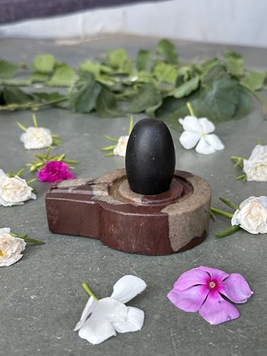 Image of Shivam VASTU AKAL 1.5 inch Original Narmadeshwar Narmada Shivling with 3 inch Narmada Stone Yoni Base Jaladhari (Black Shivling, Multicolor Flate Jaladhari)