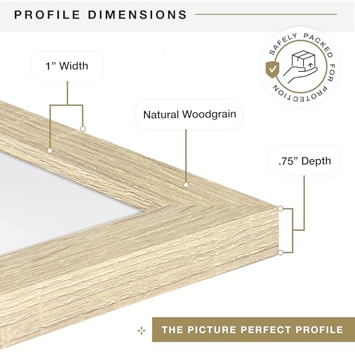 MCS Studio Gallery 19.75x27.5 Poster Frame Natural Woodgrain, Vertical & Horizontal Wall Hanging Large Picture Frame for Photos, Posters & Art Prints (1-Pack)