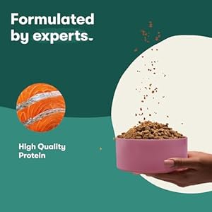 Jinx Meal Topper/Combine-in – Canine Meals Topper Made with Freeze-Dried Wild-Caught Salmon, Restricted Elements, Premium Protein – for Puppies, Adults, and Seniors, 3 oz Luggage, 6-Pack – Salmon