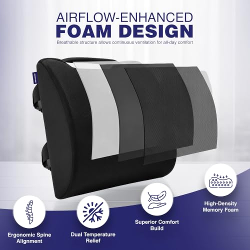 Image of WELLGIVER Lumbar Support | Memory Foam Back Support, Orthopedic Lumbar Support Back Rest for Back Pain Relief - Back Pillow for Sitting | Standard | Black Mesh