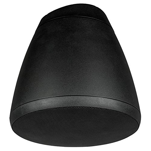 SoundTube RS42-EZ 4" Coaxial Open-Ceiling Pendant Hanging Speaker (Black)