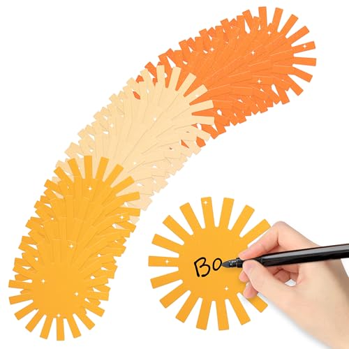 100pcs Glitter Boho Sun Cutouts First Trip Around The Sun Bulletin Board Boho Sun Shape Paper Cuts Party Decorations for Groovy Retro Party Birthday Baby Shower Classroom Wall Decor Favor Supplies