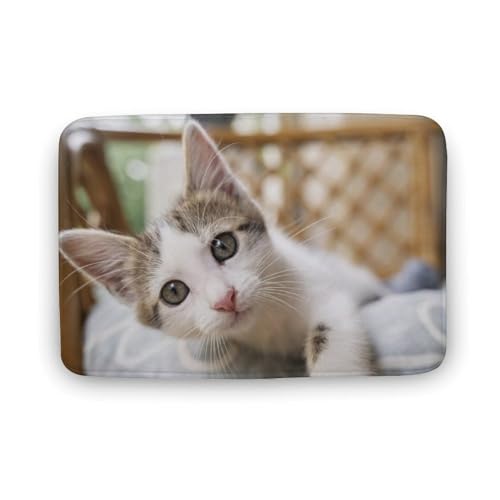 L   oX}bg \tg􂦂 z  փ}bg  O   傫 ~ Aj LN^[ @}bg   ʏ