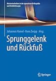  Sprunggelenk und Rückfuß (Meistertechniken in der operativen Orthopädie und Unfallchirurgie)