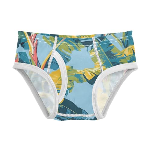 KLL Tropical Banana Leaf Boys Toddler Cotton Briefs Cute Undies