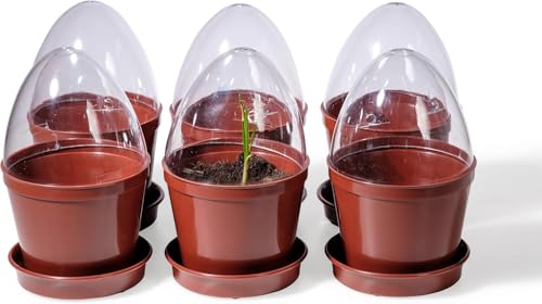 Kimmel Anzuchttöpfe mit Feuchtigkeitskuppel/Deckel 6 Stück im Set Blumentöpfe Pflanztöpfe, Braun