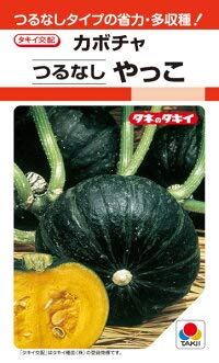 Amazon.co.jp: タキイ種苗 カボチャ つるなしやっこ : DIY・工具・ガーデン