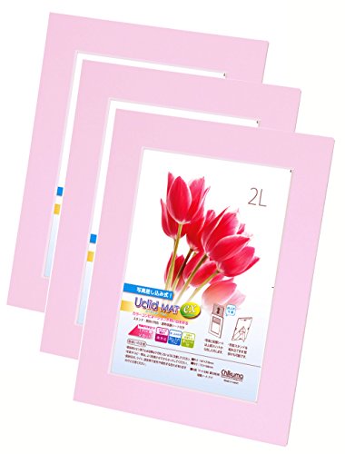 Chikuma フォトフレーム UclidマットEX 2L ピンク 3冊セット 30043-4