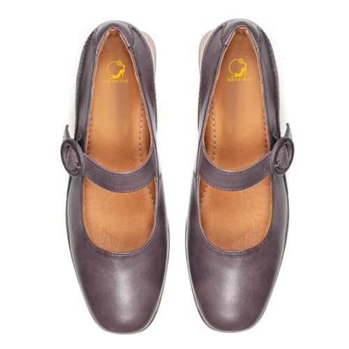 SHODENSE Women Vintage Square Toe Mary Jane Pumps Shoes Low Chunky Heel Ankle Strap Dress Sandals Metallic Matte Mary Jane Lolita Shoes Office Ladies Work Shoes Wedding Party Chic Comfort 4-11 M US4