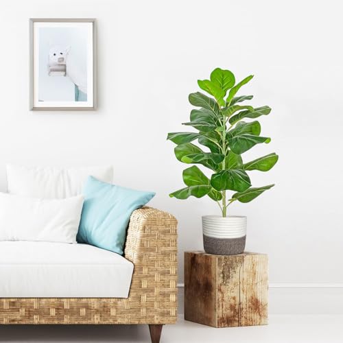 Zvezvia Kunstpflanze Künstliche Ficus, 78cm Groß Künstliche Pflanzen mit Geflochtenem Topf, Kunstbaum Fake Plant für Wohnzimmer Schlafzimmer Büro Garten Deko