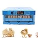 80W Mini 64 Eggs Incubator Digital Automatic Smart Egg Hatching Machine with Automatic Egg Turning Function Household Mini Chicken Egg Incubator for Chickens, Ducks, Geese, Pigeons, and Birds