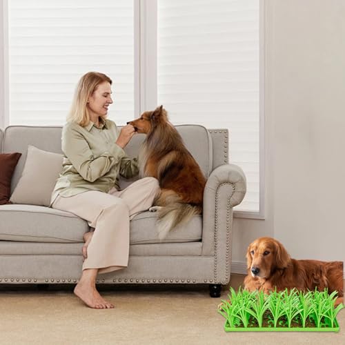 Tapis à priser pour chiens en silicone et herbe verte de fouille