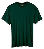 Hanes Cool DRI® TAGLESS® Men's T-Shirt
