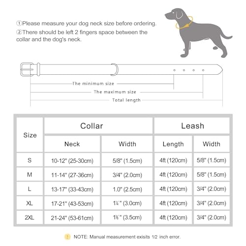 Didog Hundehalsband, weiches, gepolstertes, Leder, mit personalisierbarem, graviertem Namensschild, D-Ring. Für kleine und mittelgroße Hunde geeignet.