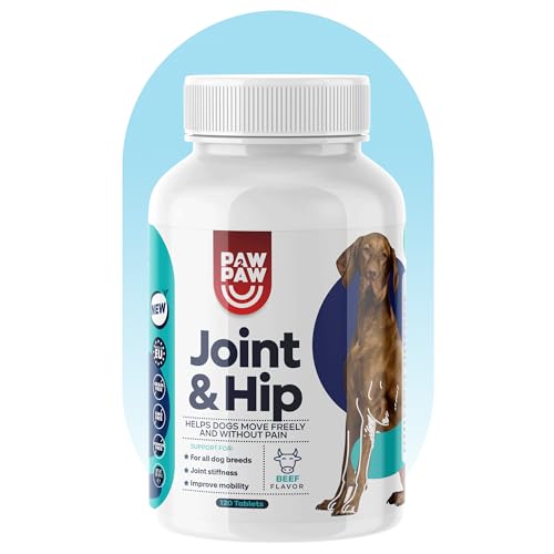 Paw2Paw Hip and Joint Tablets for Dogs - Lot de 120 comprimés articulaires pour chien - Glucosamine KCI 250 mg Joint Care pour chiens