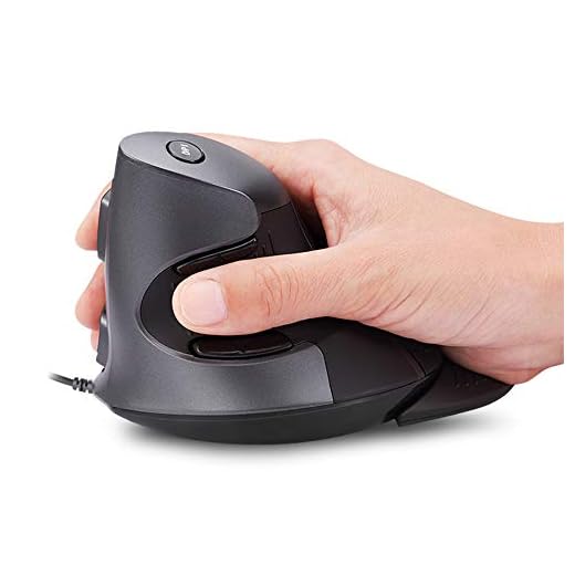 DeLUX Wired Vertical Mouse, Ergonomic Computer Mouse with 6 Programmable Buttons, 4200DPI, Removable Palm Rest and for Carpal Tunnel Reduce Wrist Pain (M618BU-for Medium/Large Hand-Black)