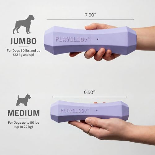 Playology Squeaky Chew Stick - Scented Dog Toy - Medium, Lamb Scent | Rubber Construction, All Natural Scent, Durable Design - Image 6