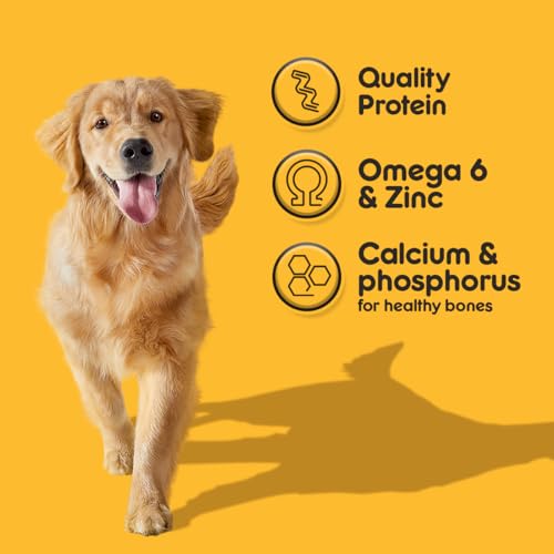 Pedigree Dog Food, Chicken & Vegetables Flavour Dog Food Dry, 10Kg, Complete & Balanced Dog Dry Food For Adult Dogs