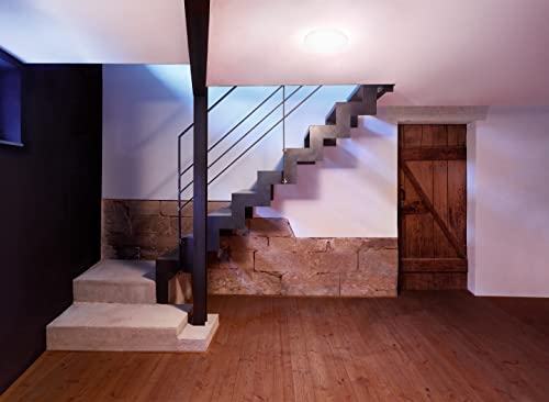 Steinel LED Deckenleuchte RS 20 S - 9,4 W Wandlampe, 942 lm, 360° Bewegungsmelder, Softlichtstart, Nachtlicht, Dauerlicht, Weiß, Warmweiß