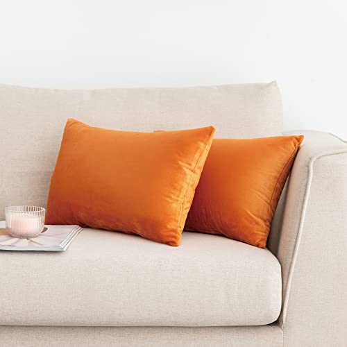 NiNi ALL Orange Velvet Throw Pillow Covers 12x20 Pack of 2 Decorative Couch