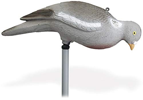 Stepland Pack 12 appelants Pigeon picoreur