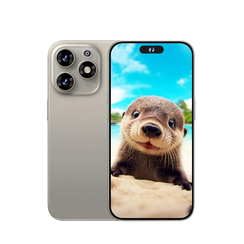 McMgc 4G Dual SIM Unlocked Mobile Phones,4GB RAM/ROM 64GB,6.53 inch HD+ Display,Dual Camera Android 10,Face Unlock,BT,FM,GPS,WIFI,OTG,4600mAh Fast Charge (McM15PM(4+64GB)-Grey)