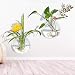 Pack of 2 Larger Wall Bubble Terrariums Glass Bowl 6" Wall Mounted Glass Vase for Dried Flowers Tillandsia Air Plants Holders Wall Hanging Succulents Planters