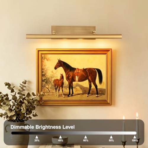 Image of BELS Picture Lights for Wall Hardwired, 30 Inch Gold Wall Lights for Pictures, Dimmable, 270 Adjustable Swing Arm, Hardwired Wall Light for Artwork Poster Portrait Library Display