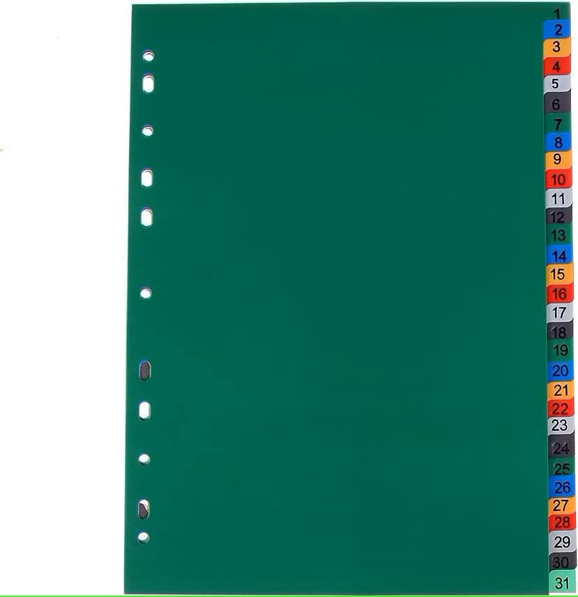 True-Ally A4 Plastic Separator,31-Tab Binder Dividers, Write & Erase Big Tab Dividers Ring Binders, Dividers for 2/3/4/11 Ring Binders, Insertable Multicolor Tabs