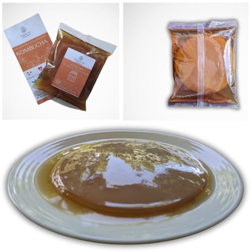 Image of Raintree Organics Kombucha SCOBY with Starter Culture Kit by Raintree Organics
