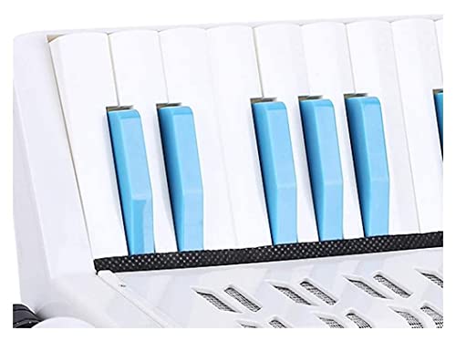 JXRY Children's Accordion 17-Key 8 Bass Accordeon Solo en Ensemble Muziekinstrumenten Educatief Muziekinstrumenten… - Image 3