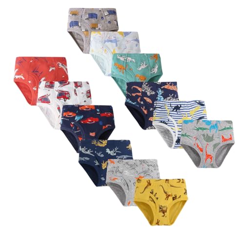 LeQeZe Slips sous-Vêtements Pur Coton Garçons Lot de 12 Slip Enfant 3-4 Ans(Boys Briefs 03,Taille du Fabricant 110)