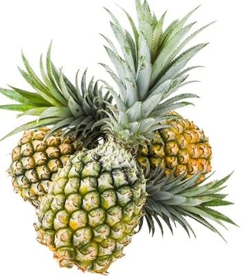 2026年 先行予約 熟鮮スナックパイン2kg (2玉)と甘さをぎゅっと詰め込んだ100% パイナップルジュース 1本 [029-a007_2026]