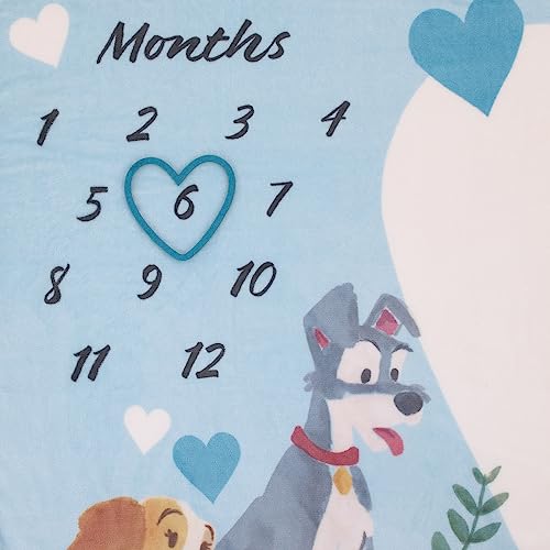 Image of NoJo Disney Lady & The Tramp Blue, White, and Gold Love at First Sight Super Soft Photo Op Milestone Baby Blanket