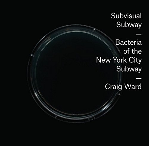 Subvisual Subway: Craig Ward: 9781367957794: Amazon.com: Books