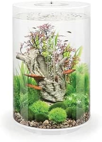 Biorb Acuario 35 Litros Led Blanco Para Peces, Acrílico, Ovalado, Moderno, Transparente Biorb Acuario 35 Litros Led Blanco Para Peces, Acrílico, Ovalado, Moderno, Transparente
