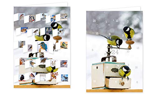 Adventskalender-Doppelkarte „Den Wintervögeln Auf Der Spur“ – 24 Türchen Mit Vogelmotiven, 12,5x18,5 Cm Mit Kuvert